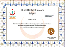 certificate-4